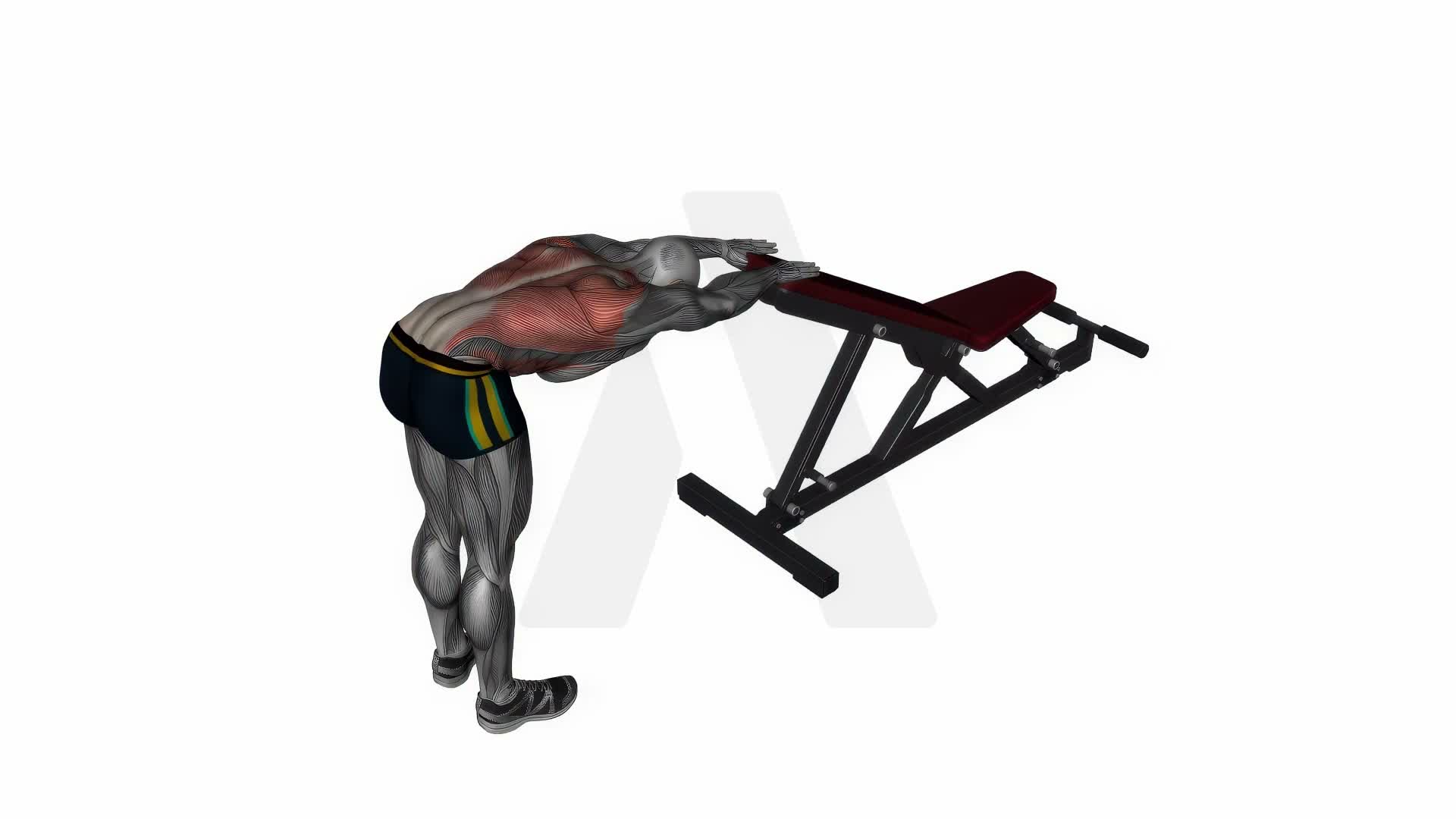 Back Stretch Standing With Bench exercise demonstration