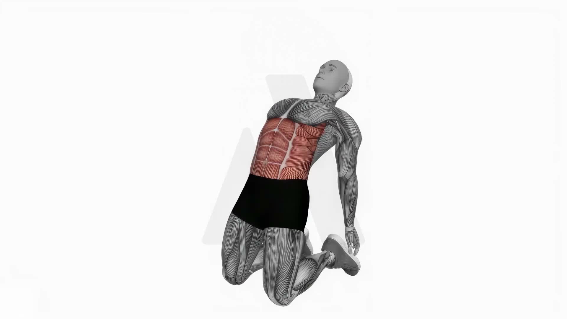 Backward Abdominal Stretch exercise demonstration