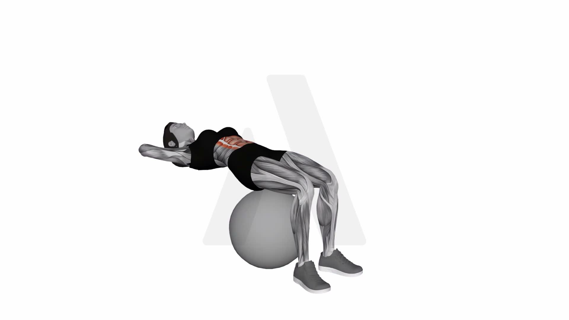 Ball Sit Up exercise demonstration
