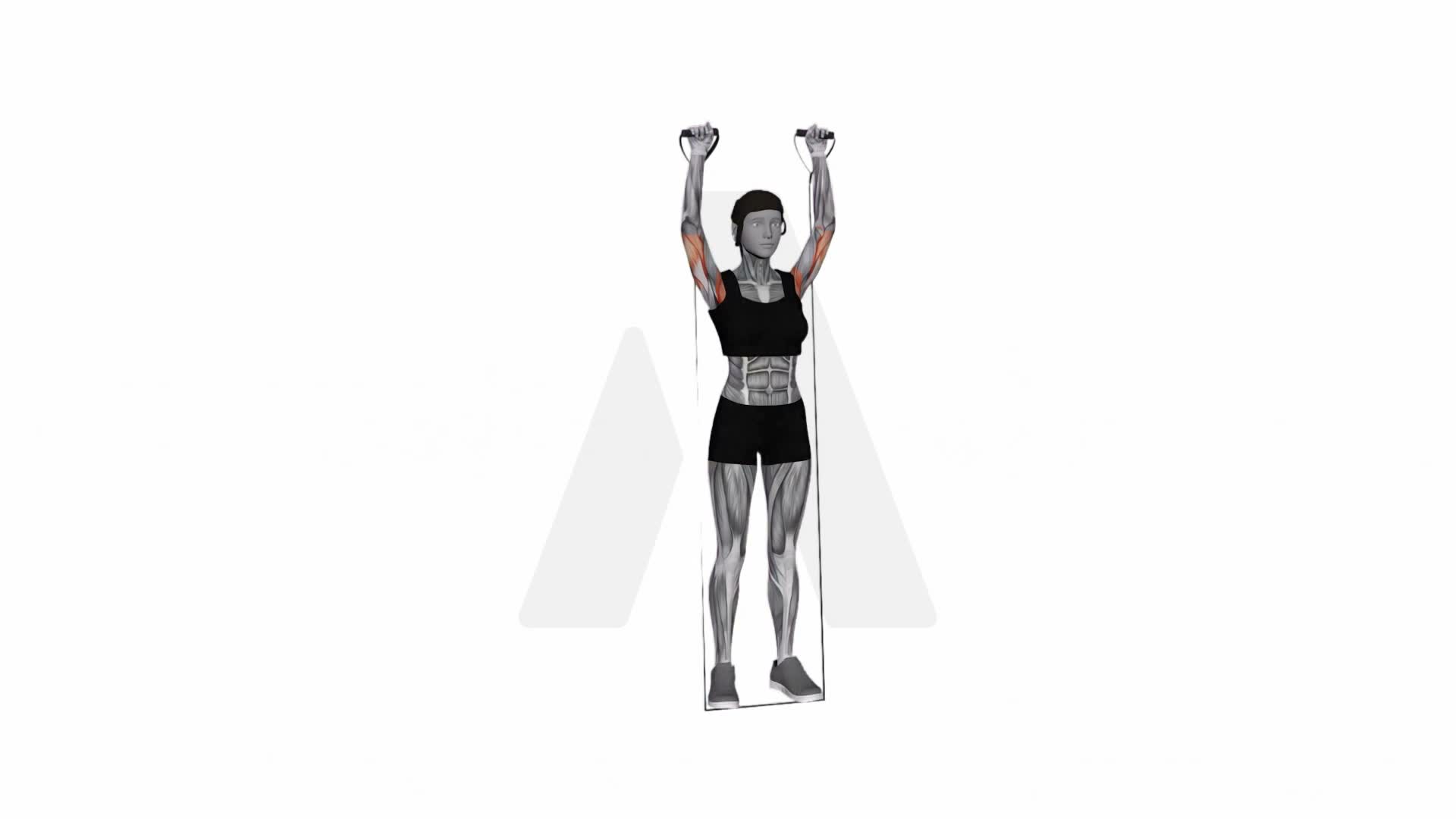 Band Behind Neck Shoulder Press exercise demonstration