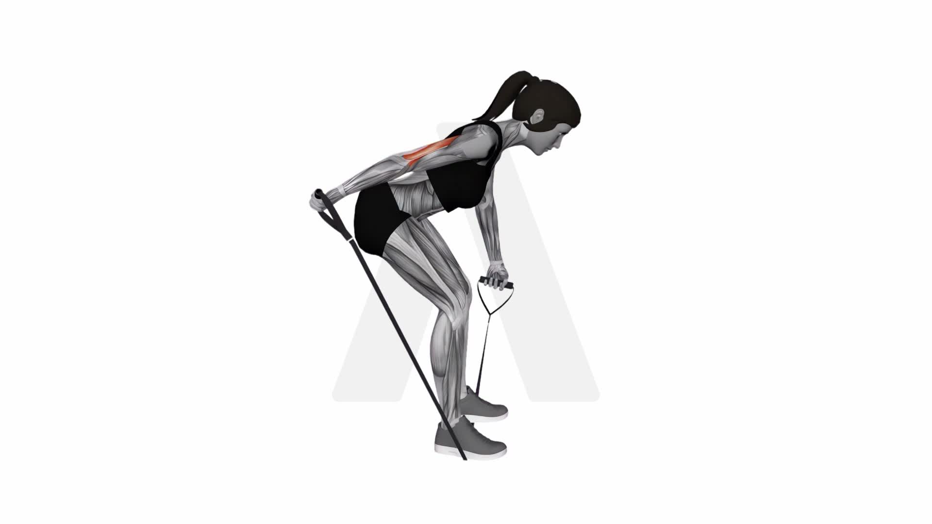 Band Bent Over One Arm Kickback exercise demonstration