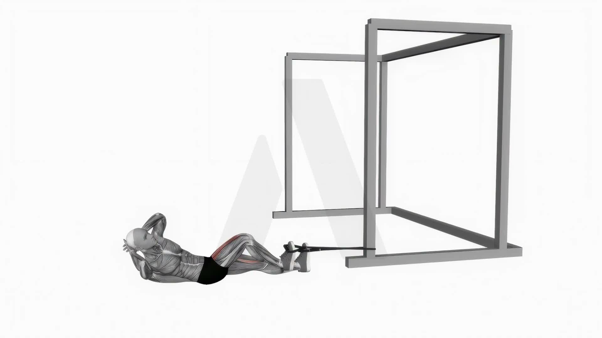 Band Bicycle Crunch exercise demonstration