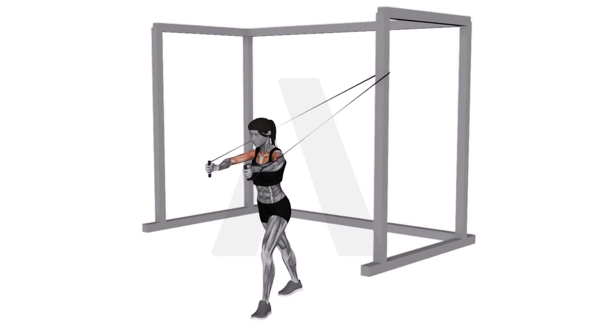 Band Chest Fly exercise demonstration