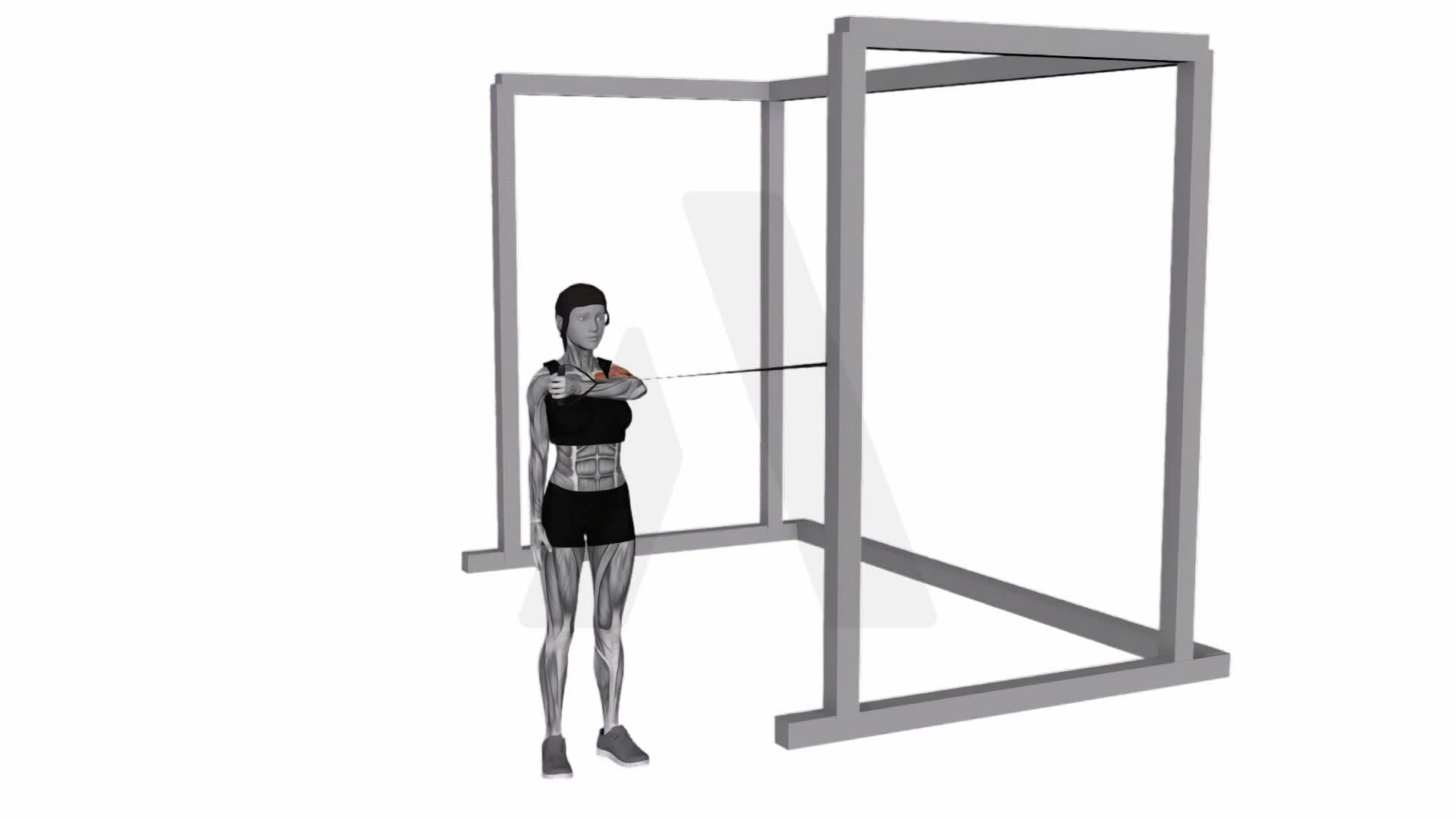 Band Cross Body One Arm Chest Press exercise demonstration