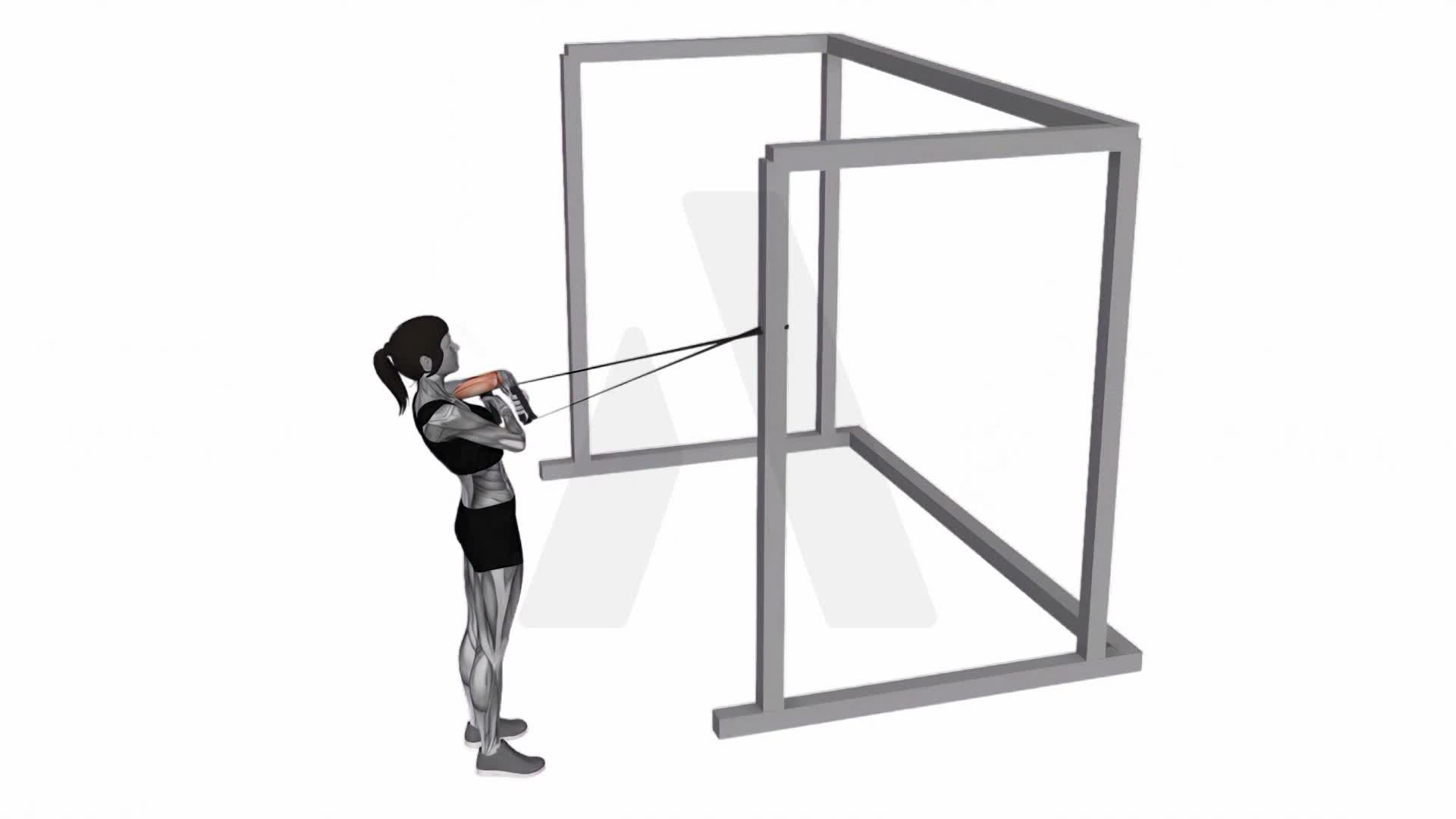 Band Cross Chest Biceps Curl exercise demonstration