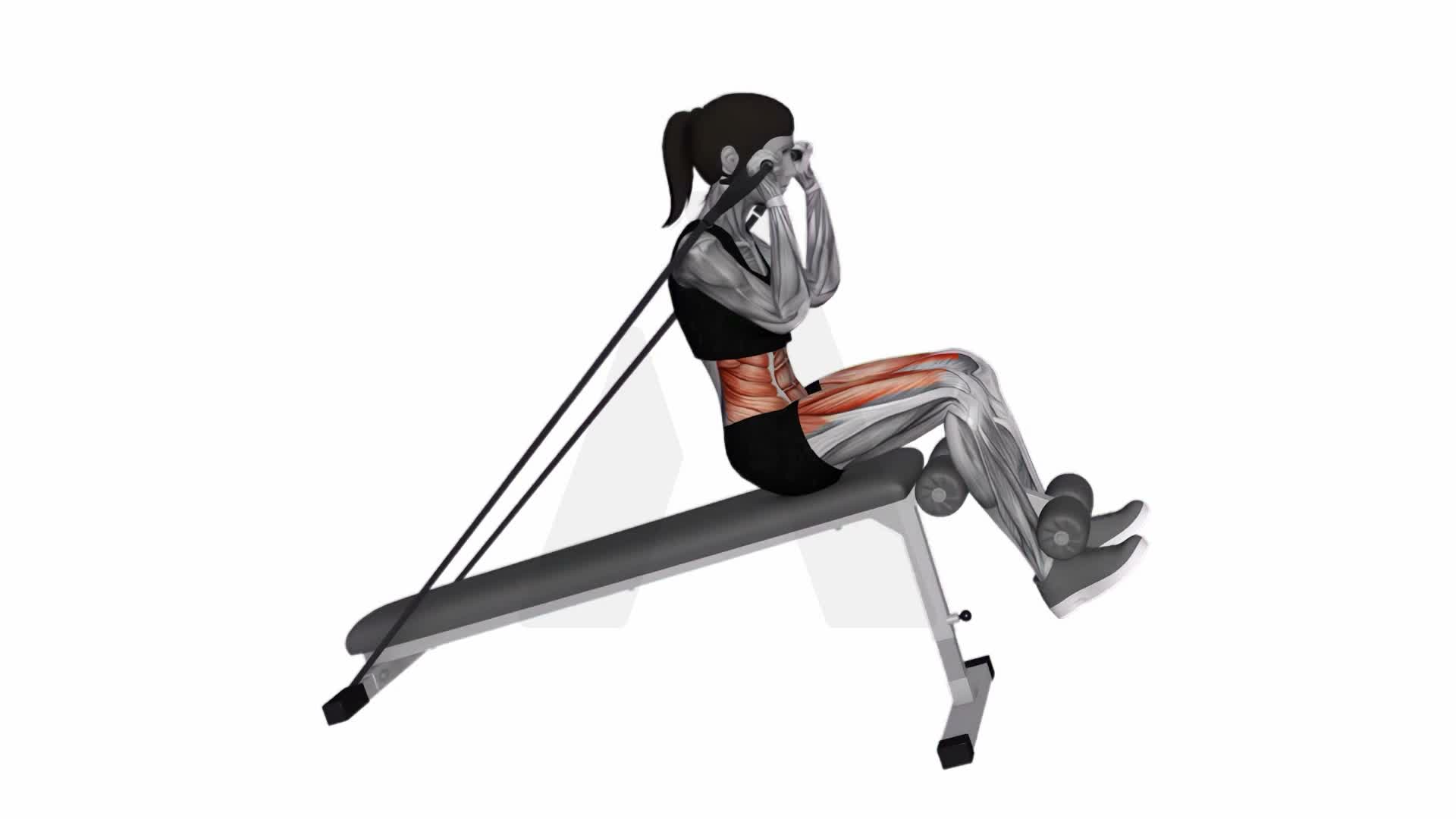 Band Decline Sit Up exercise demonstration