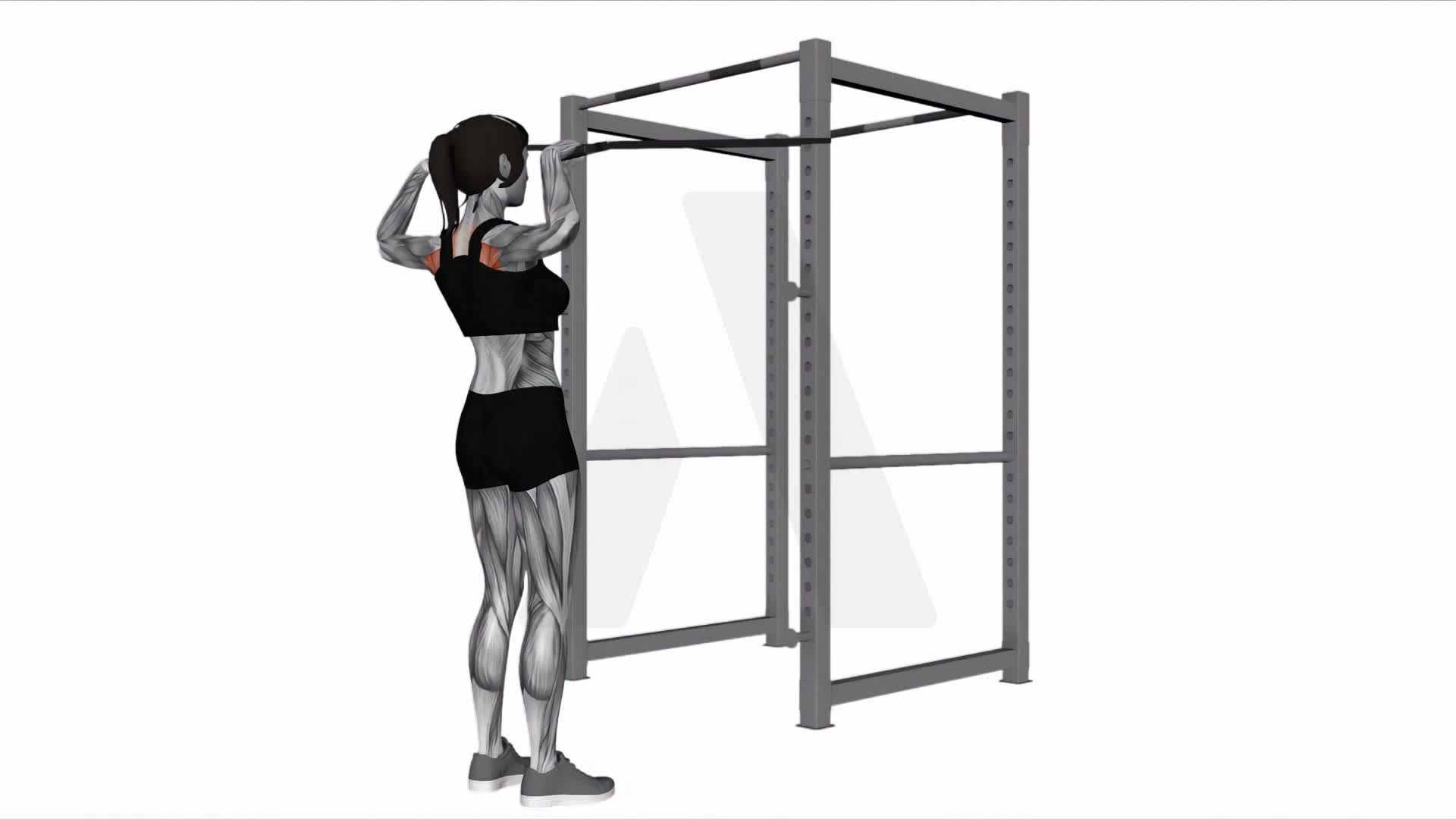 Band Face Pull exercise demonstration