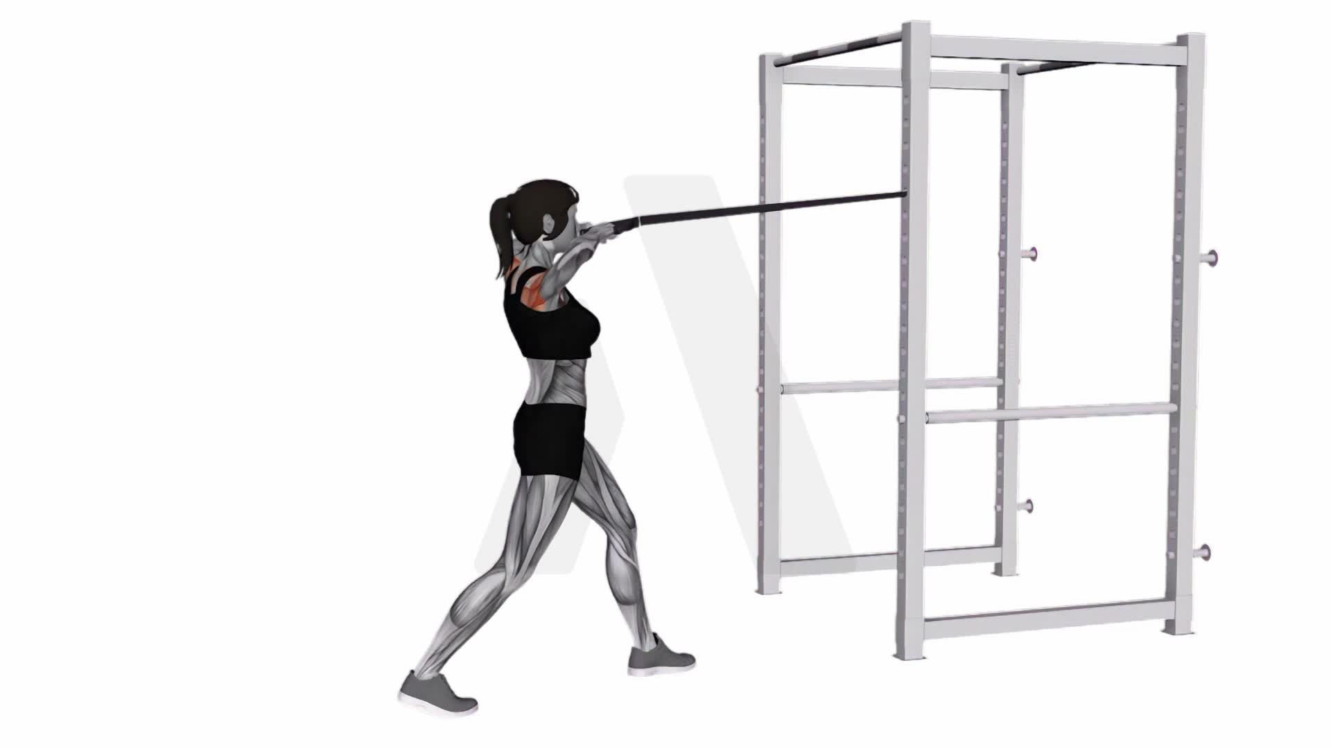 Band Front Face Pull exercise demonstration