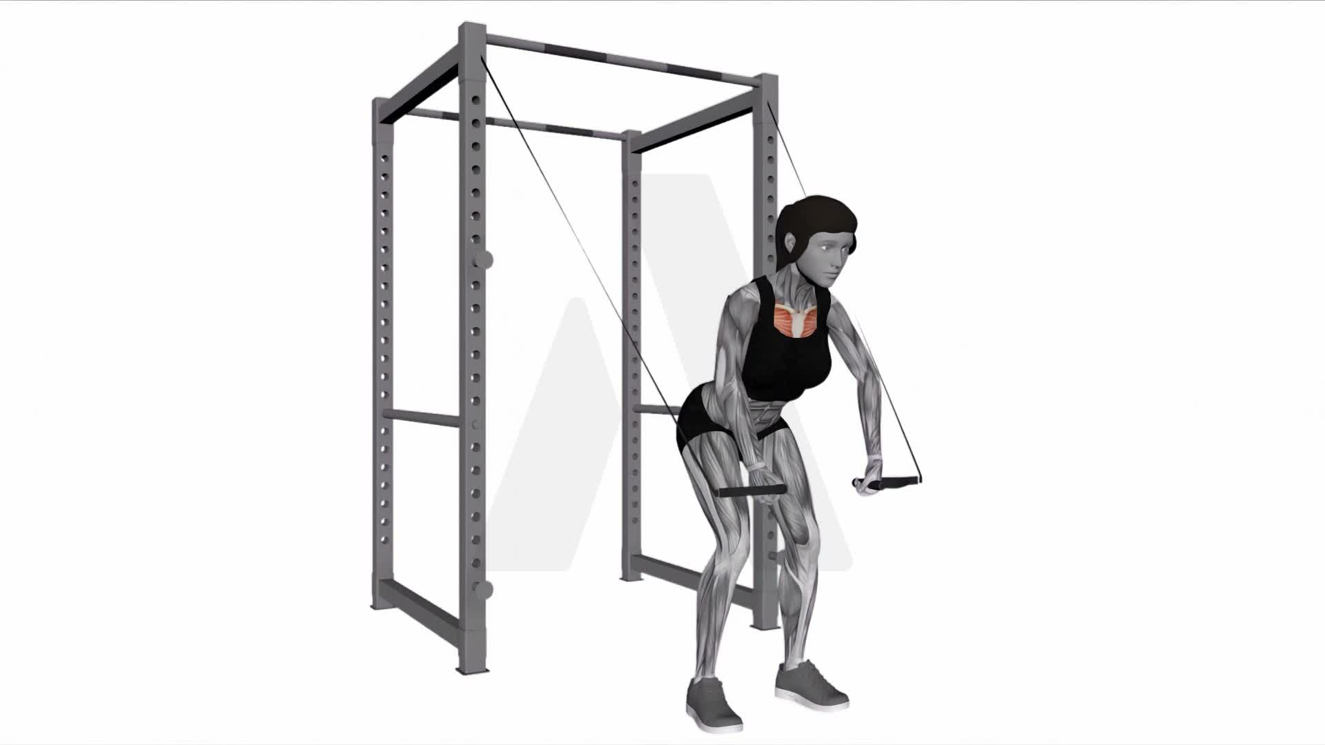 Band High Fly exercise demonstration