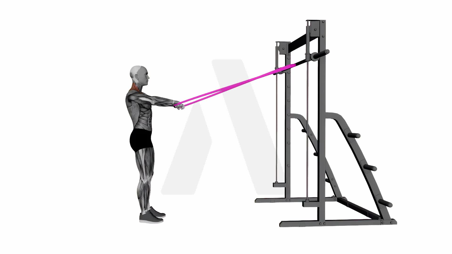 Band Horizontal Shrug exercise demonstration