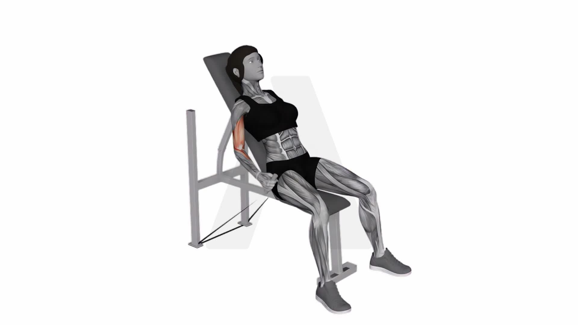 Band Incline Alternate Hammer Curl exercise demonstration