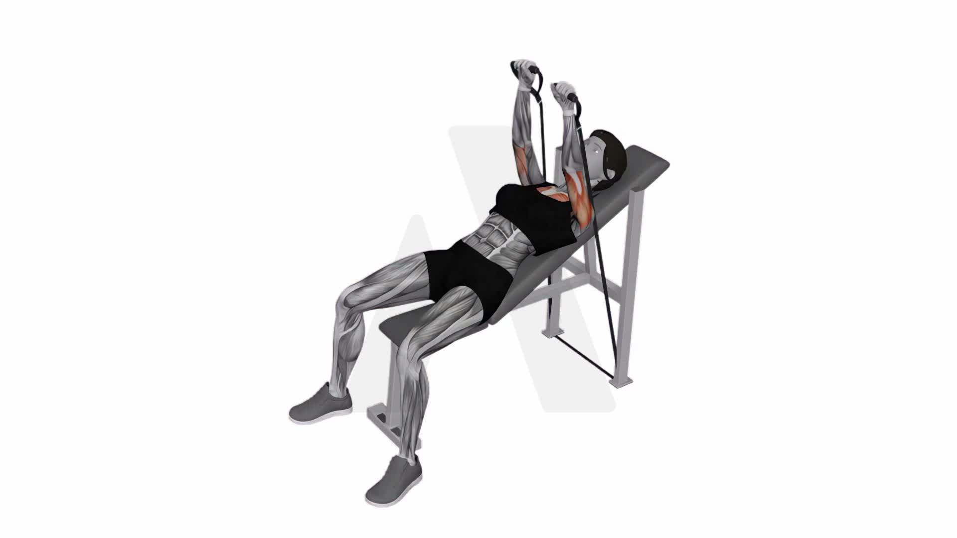 Band Incline Bench Press exercise demonstration