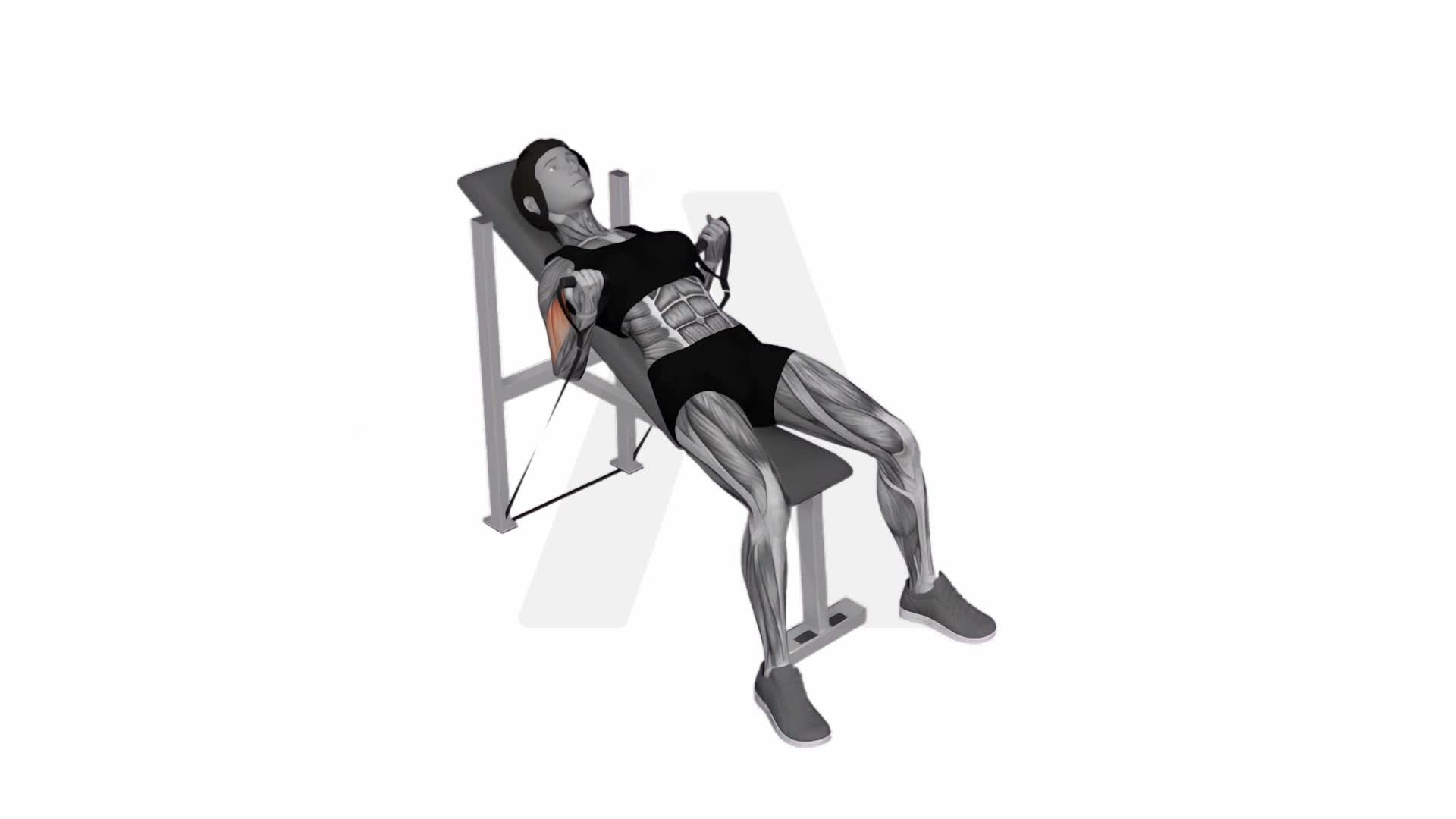 Band Incline Biceps Curl exercise demonstration