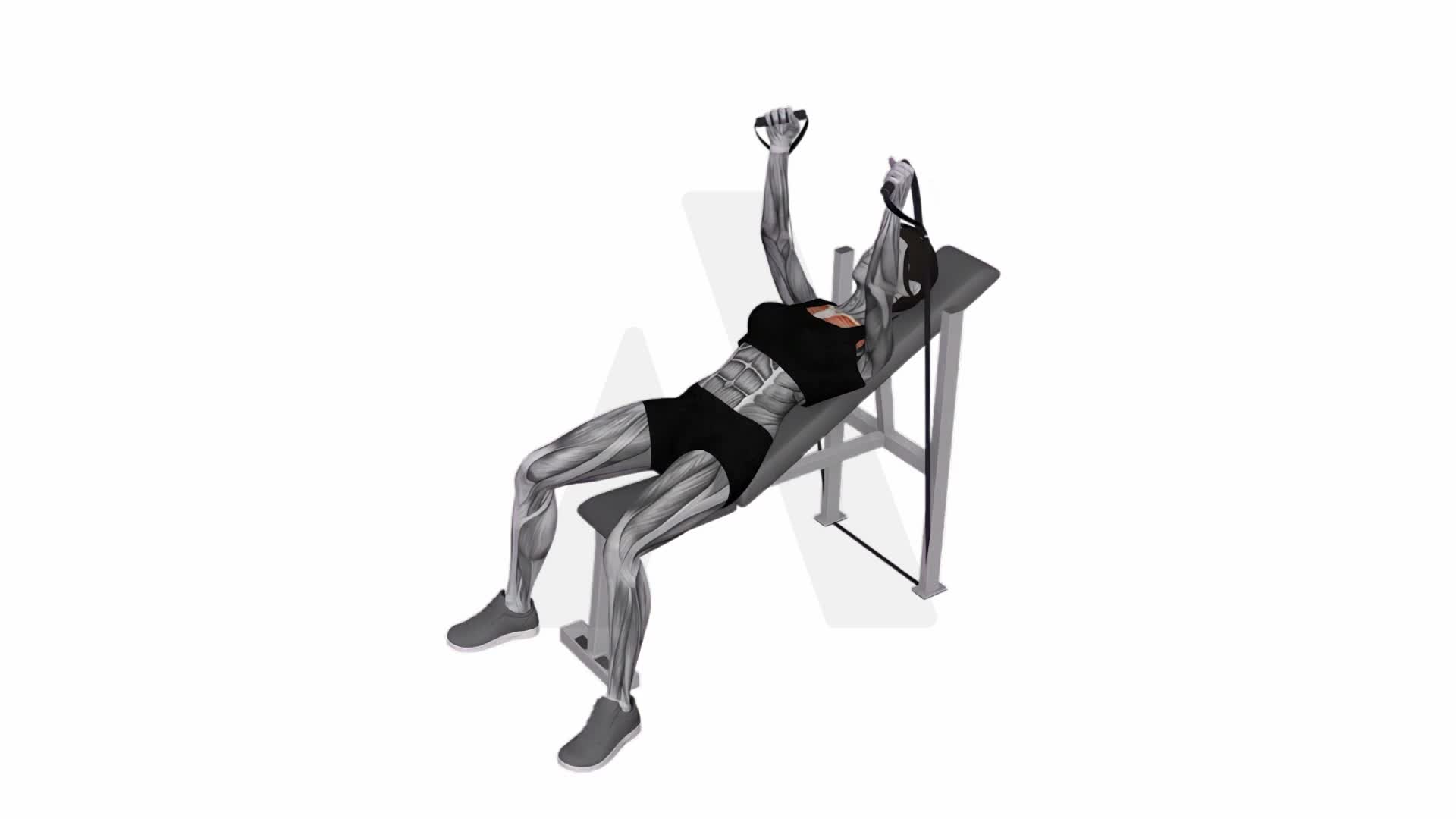 Band Incline Fly exercise demonstration