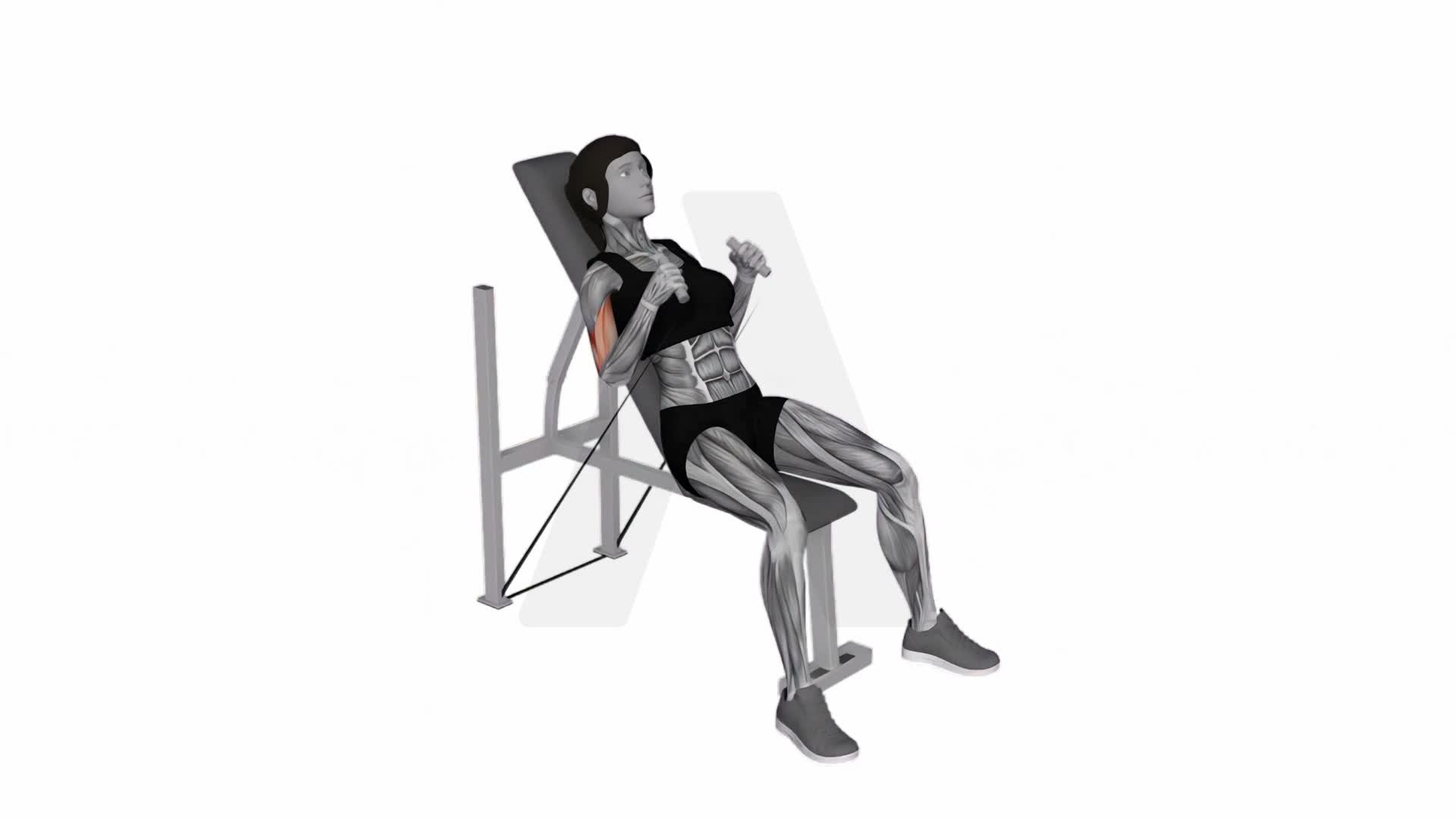 Band Incline Hammer Curl exercise demonstration