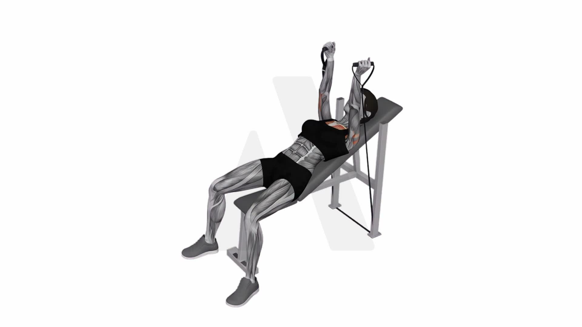 Band Incline Hammer Press exercise demonstration