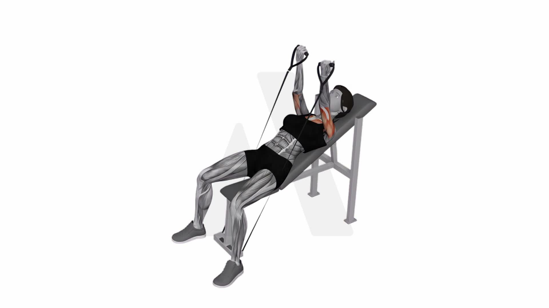 Band Incline Palms Back Press exercise demonstration