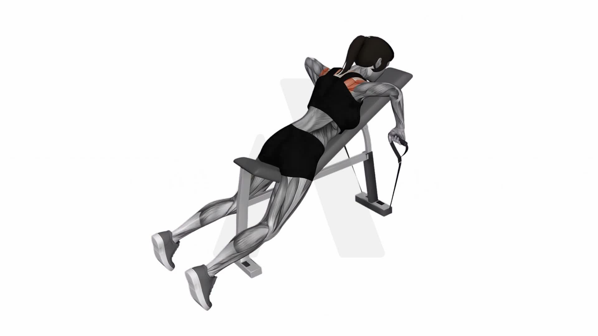 Band Incline Row exercise demonstration