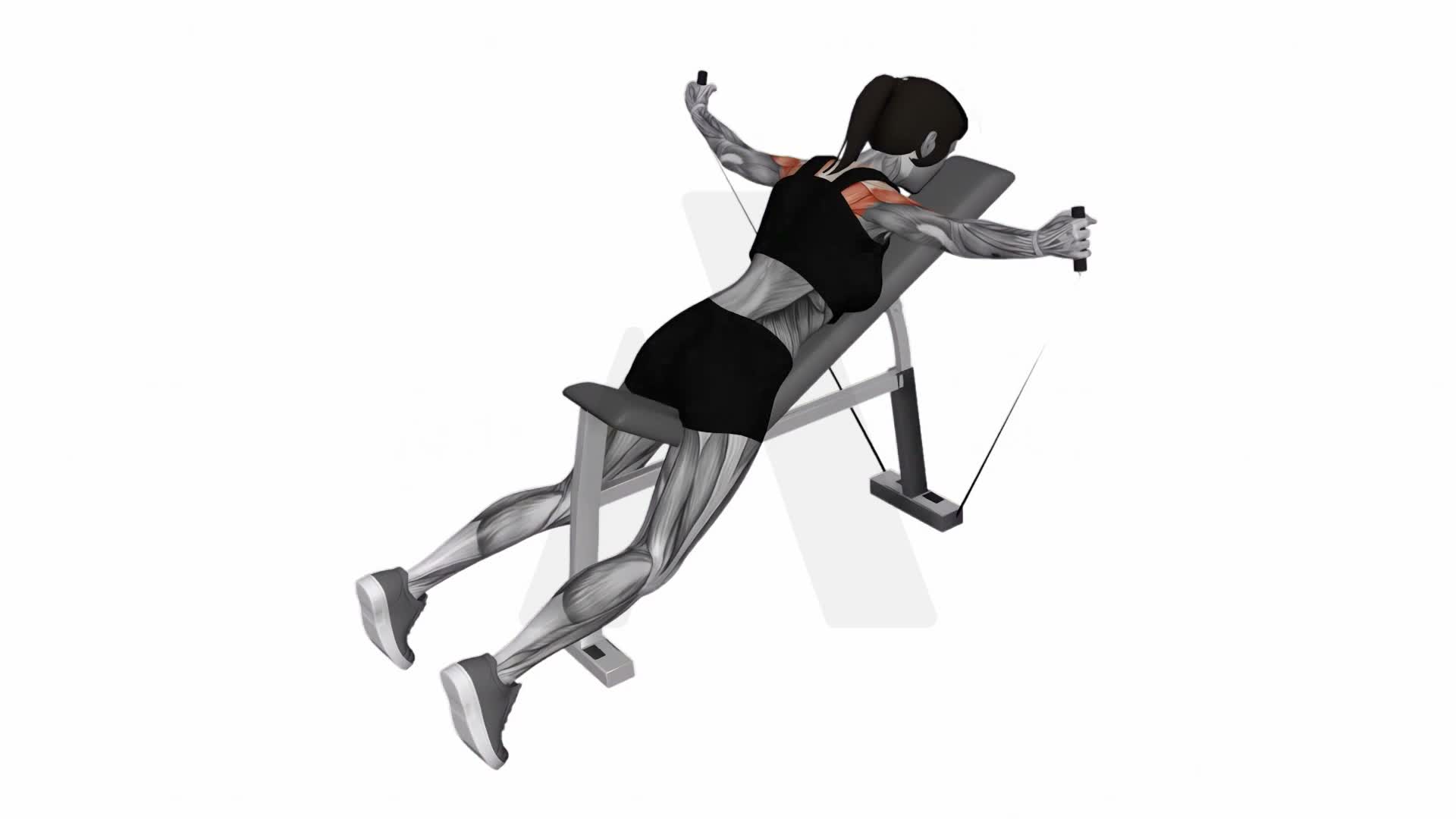 Band Incline T Raise exercise demonstration