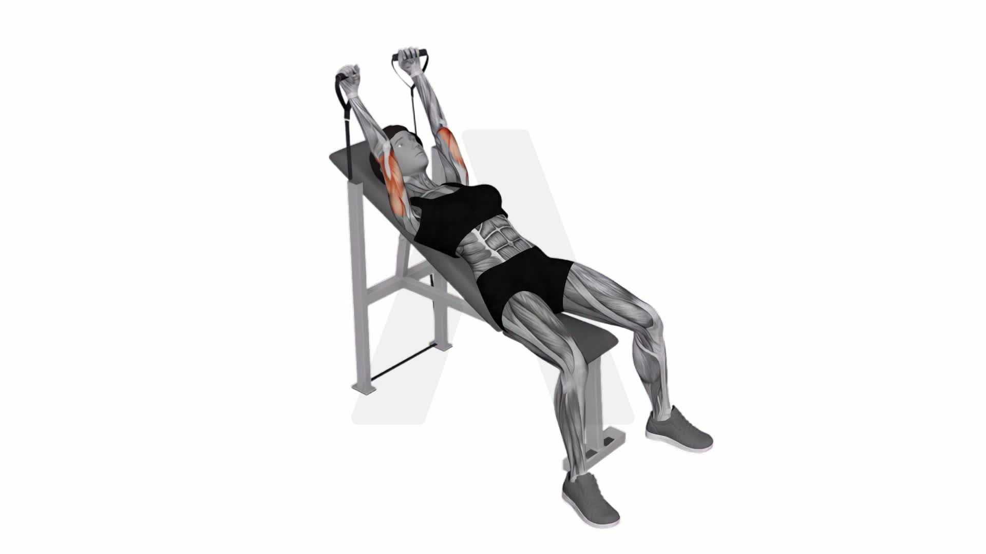 Band Incline Triceps Extension exercise demonstration