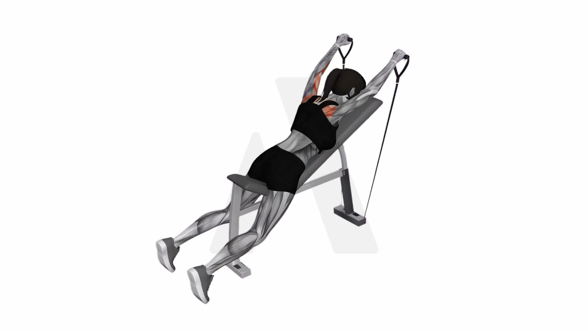 Band Incline Y Raise exercise demonstration