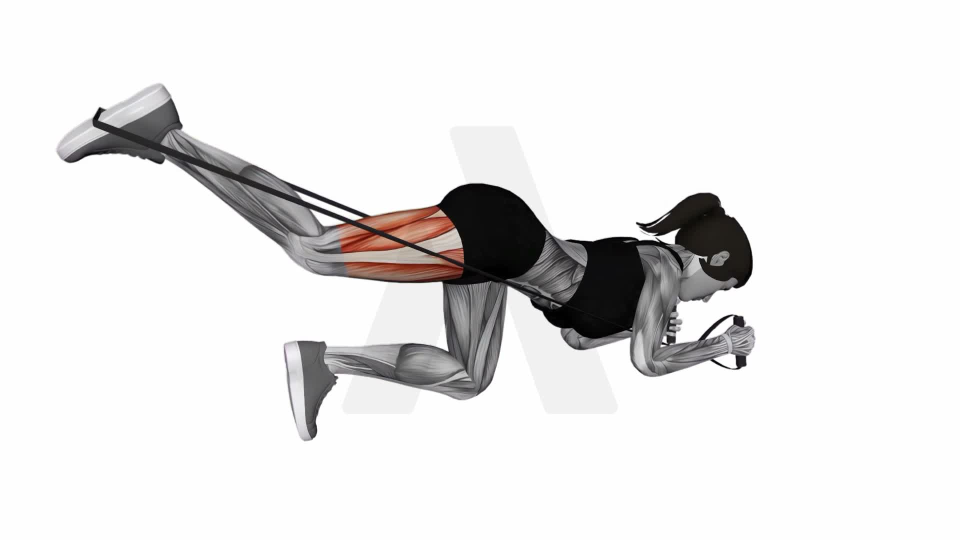 Band Kneeling Rear Kick exercise demonstration