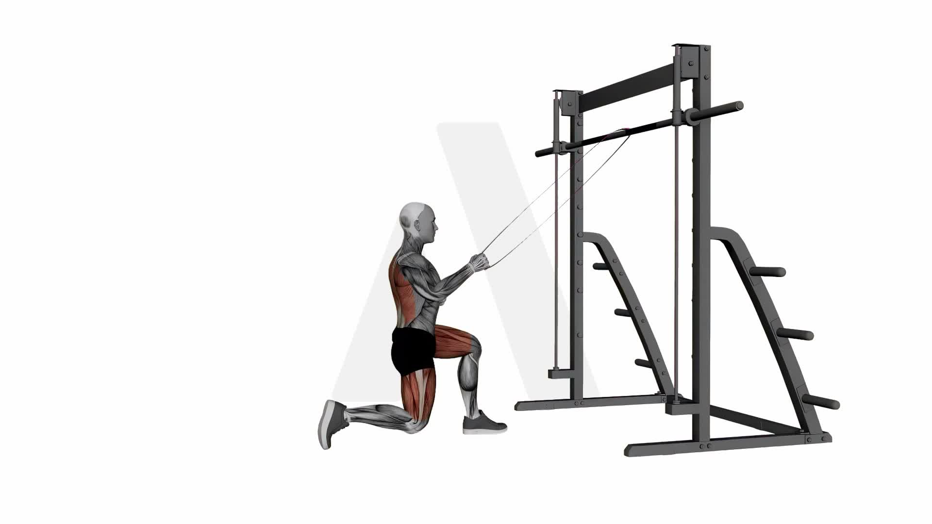 Band Kneeling Single Arm High Row exercise demonstration