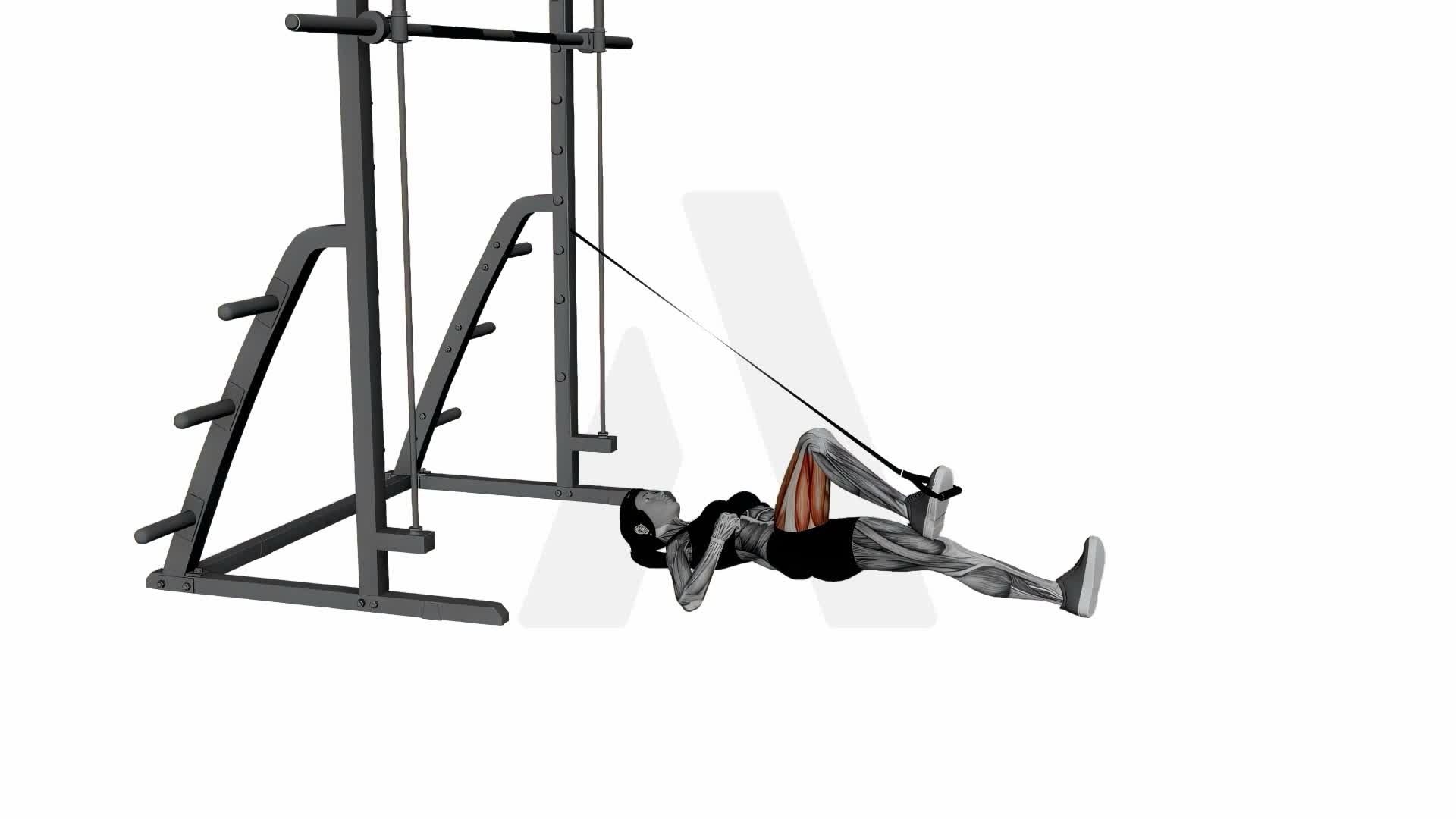 Band Leg Press exercise demonstration