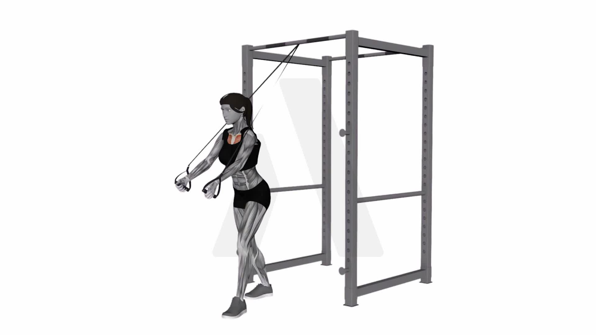 Band Low Chest Fly exercise demonstration