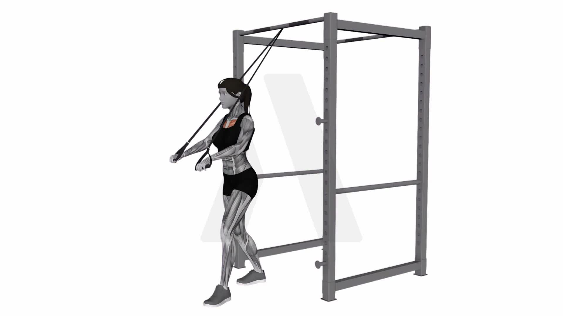 Band Low Chest Press exercise demonstration