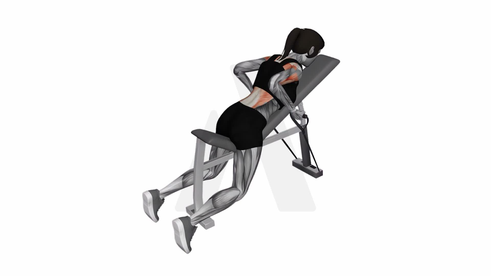 Band Lying Reverse Grip Row exercise demonstration