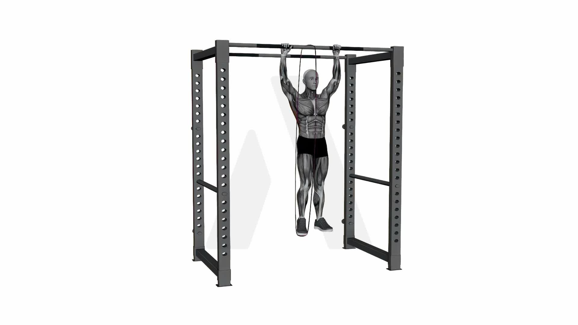Band Pull Up exercise demonstration