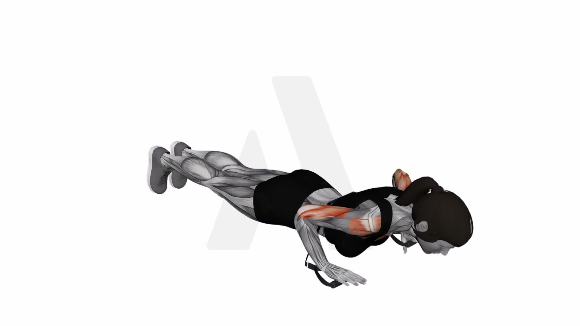 Band Push Up exercise demonstration