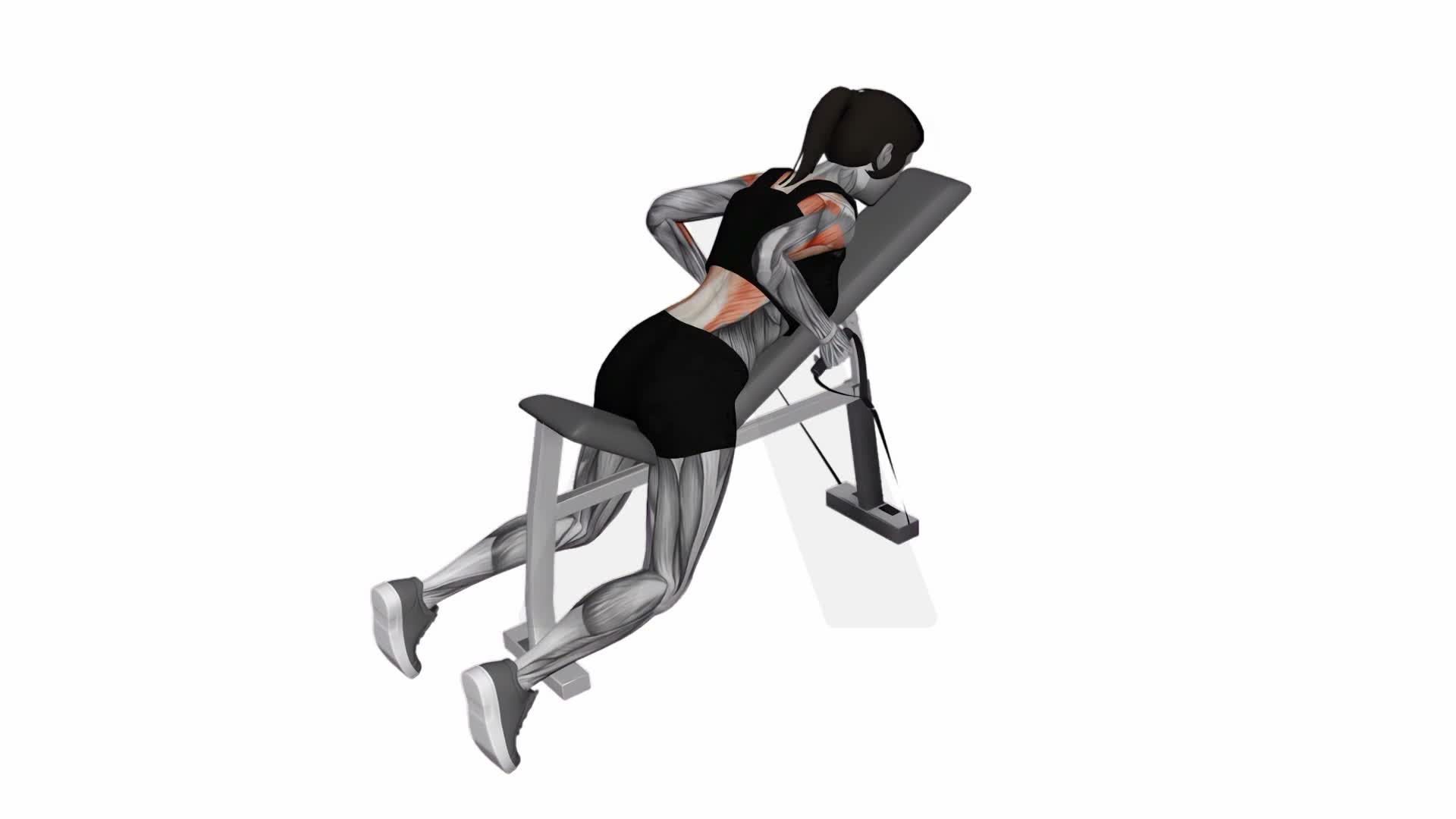 Band Rotating Hammer Grip Incline Bench Row exercise demonstration
