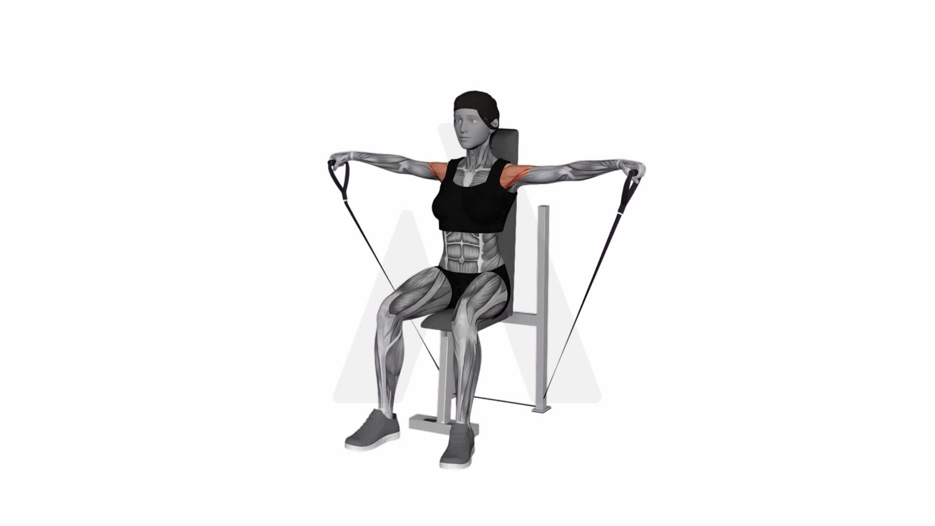 Band Seated Lateral Raise exercise demonstration