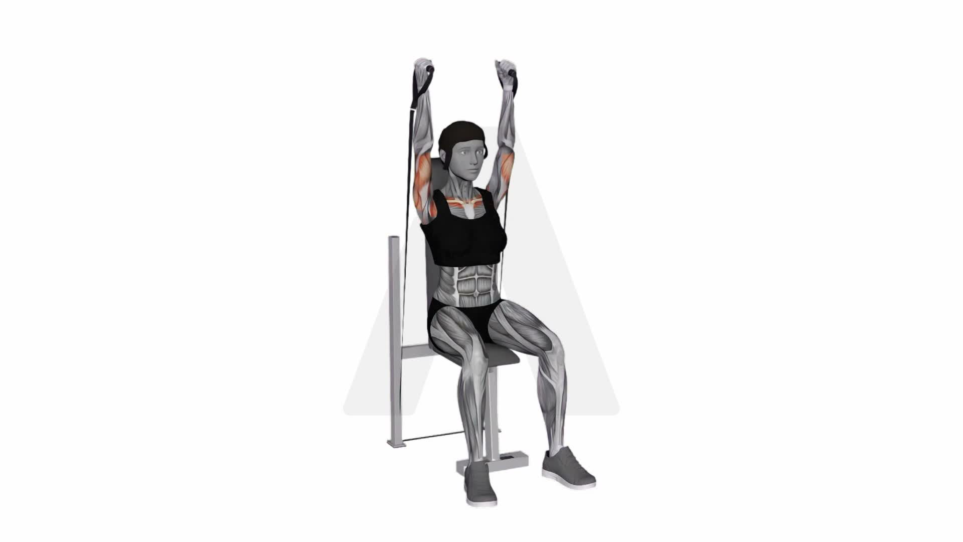 Band Seated Neutral Grip Shoulders Press exercise demonstration