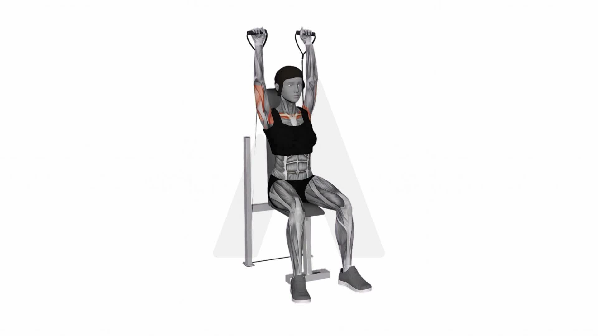 Band Seated Shoulder Press exercise demonstration