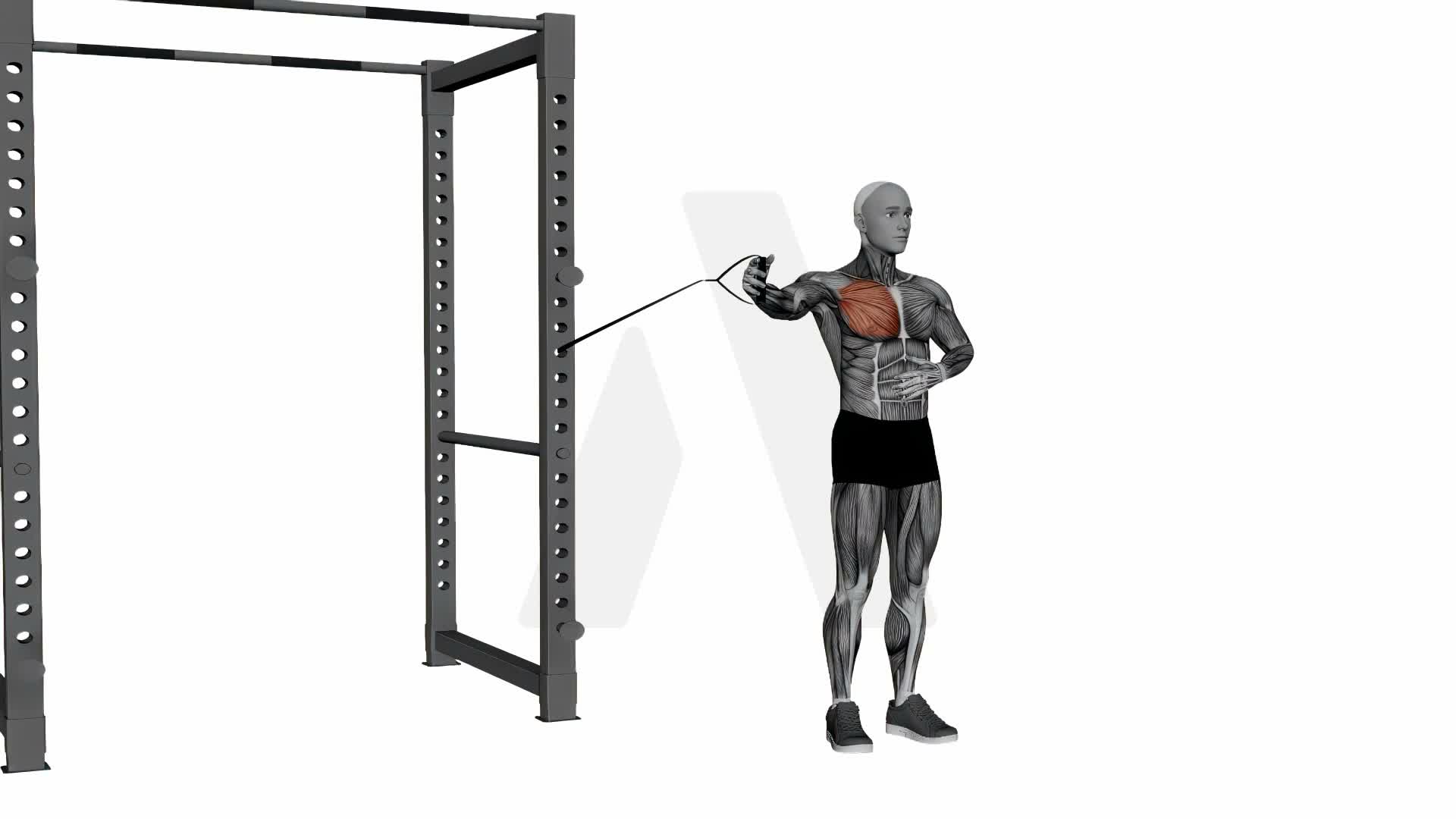 Band Single Arm Pec Fly exercise demonstration