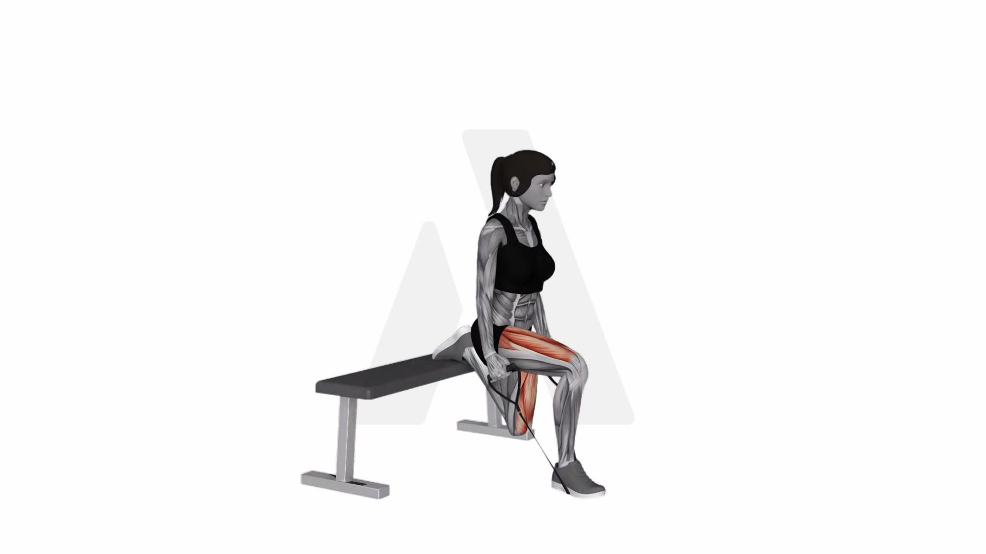 Band Single Leg Split Squat exercise demonstration