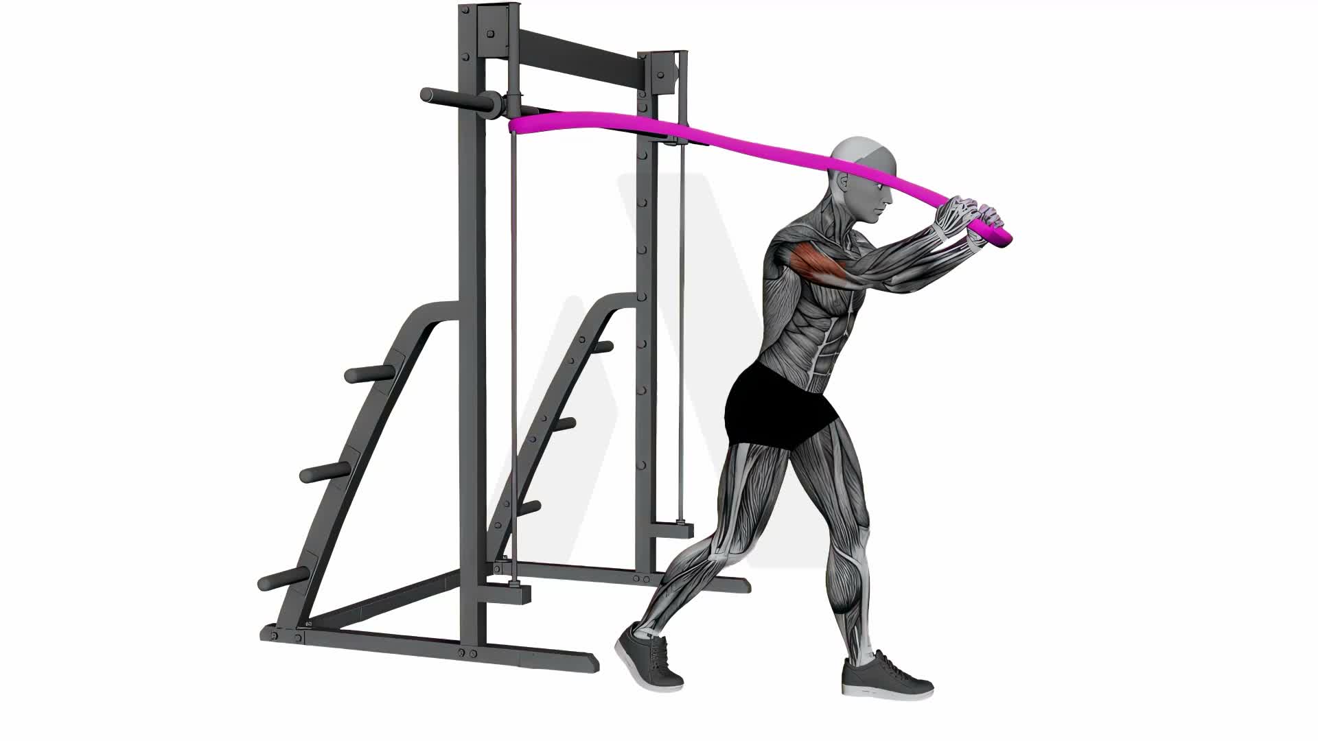 Band Skullcrusher exercise demonstration