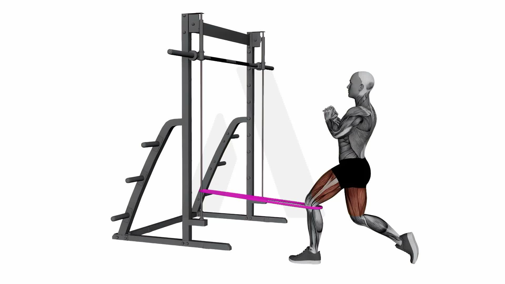 Band Spanish Split Squat exercise demonstration