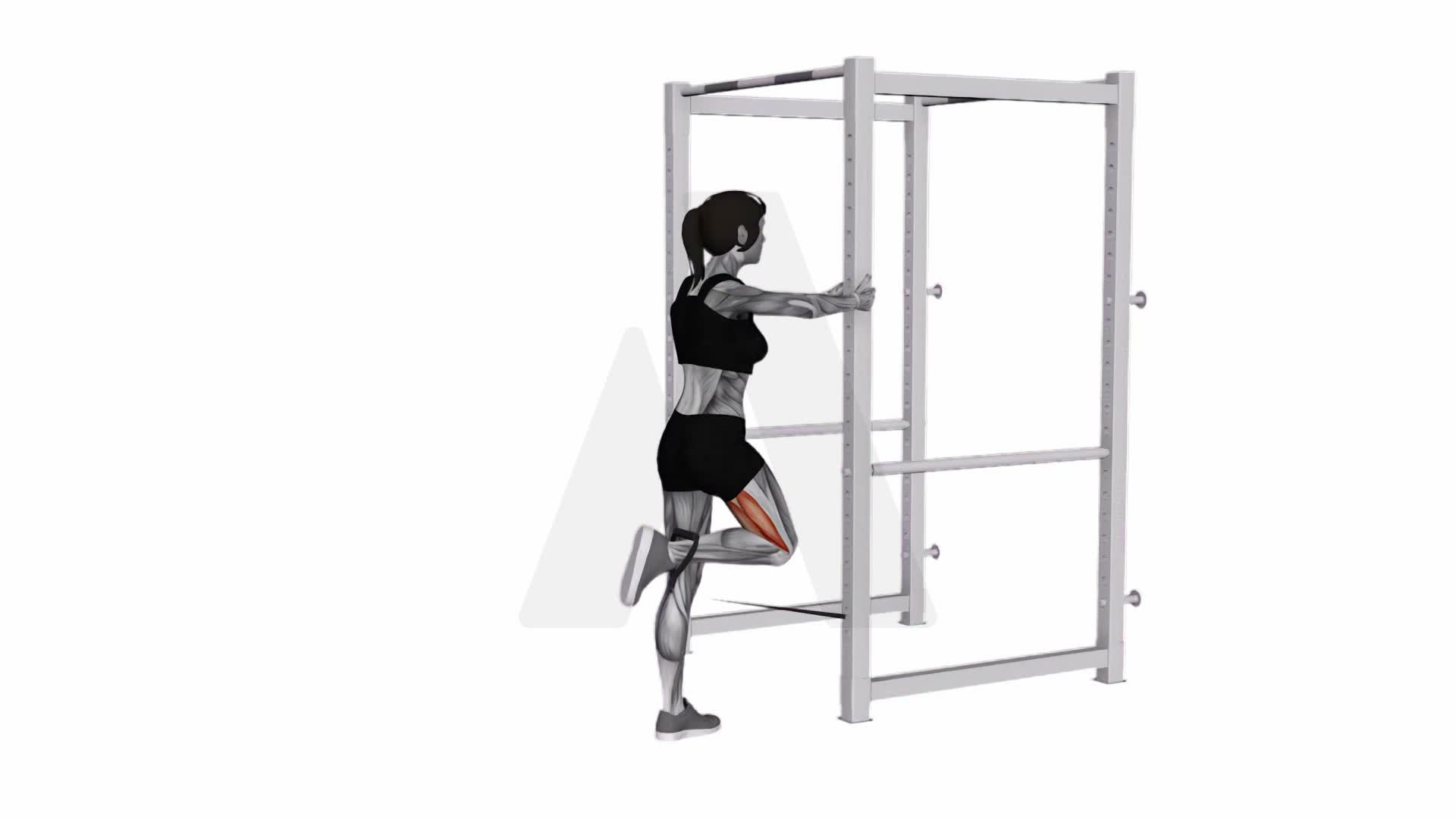 Band Standing Leg Curl exercise demonstration