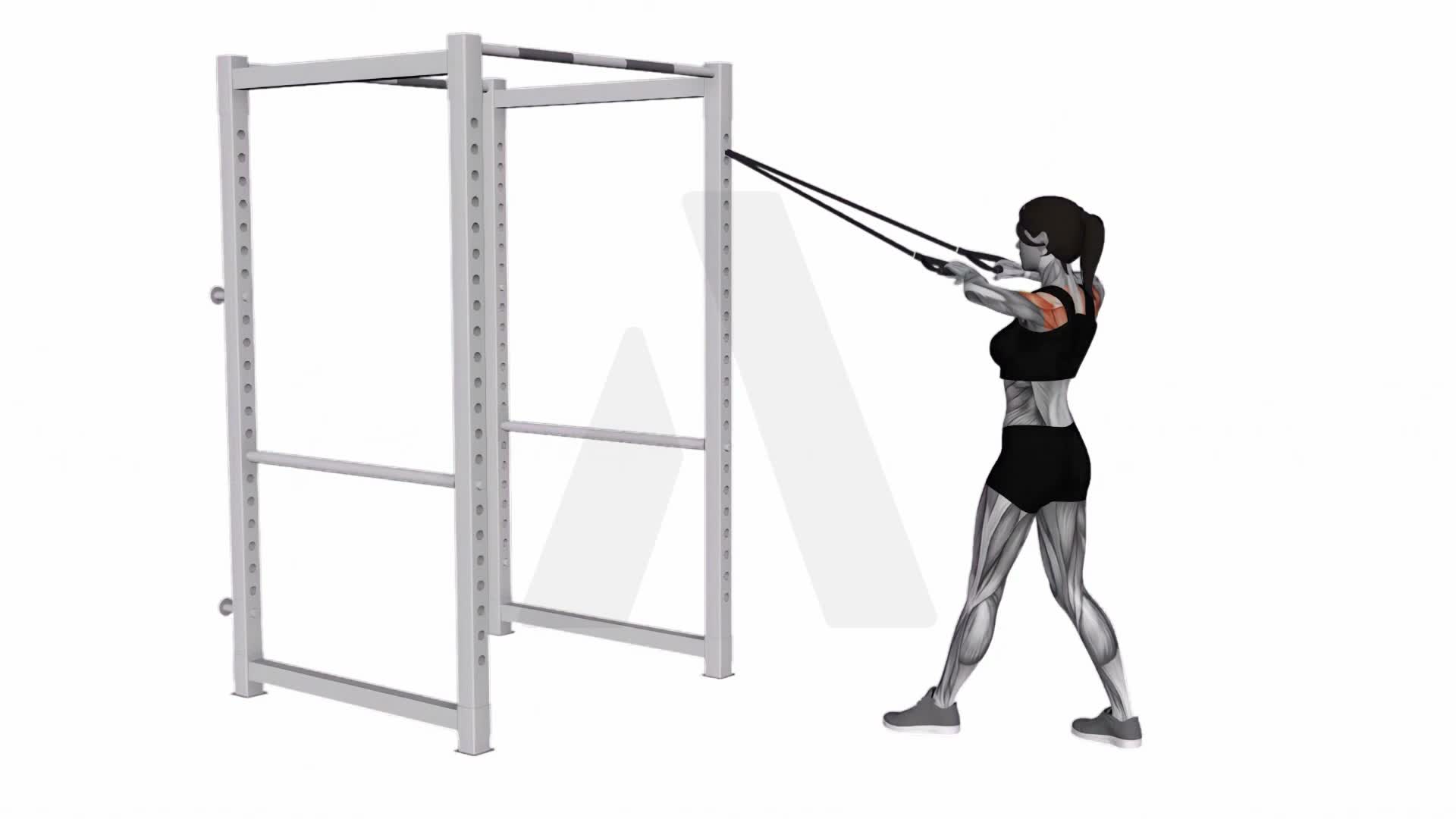 Band Standing Rear Delt Row exercise demonstration