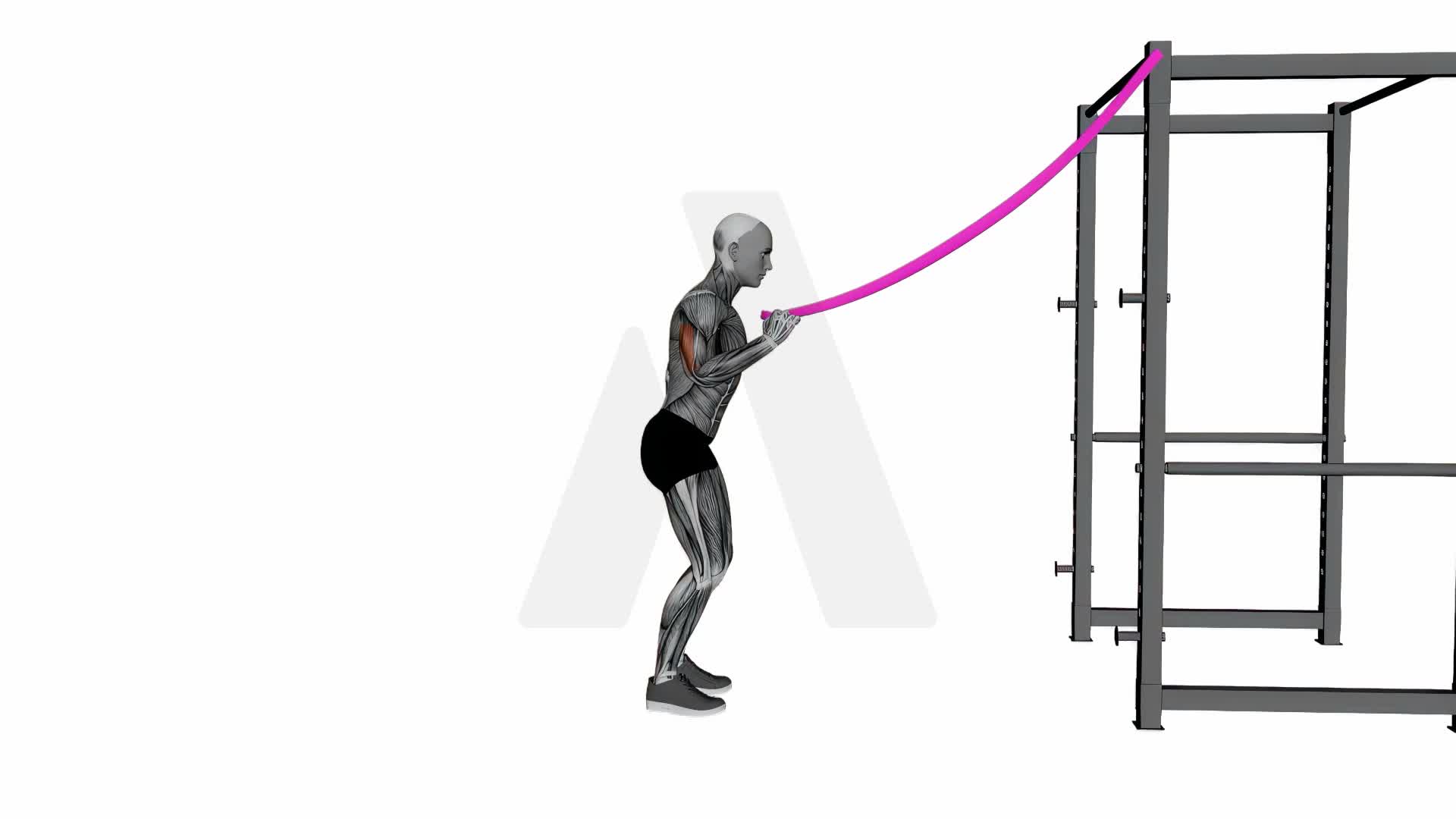 Band Triceps Pushdown Single Arm exercise demonstration