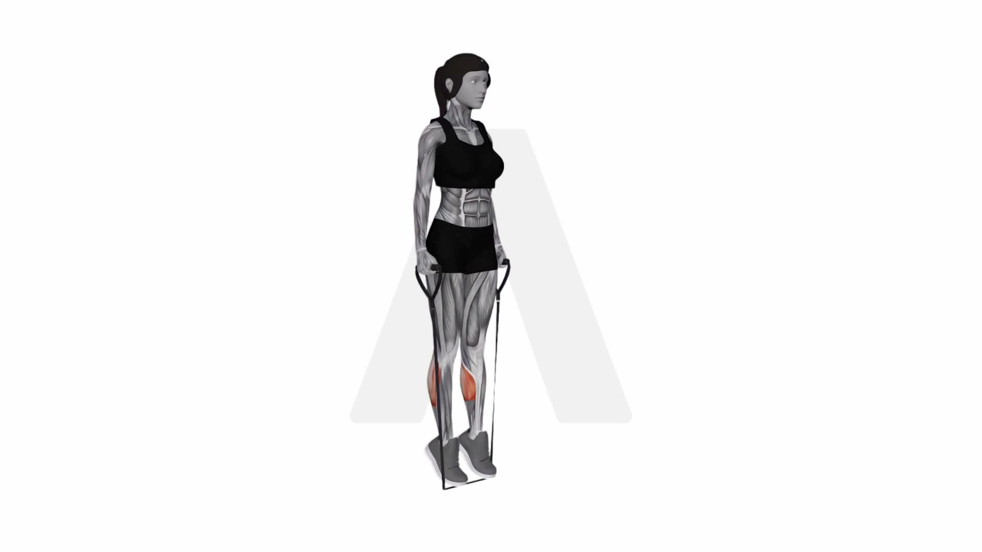 Band Two Legs Calf Raise (Band Under Both Legs) Version 2 exercise demonstration