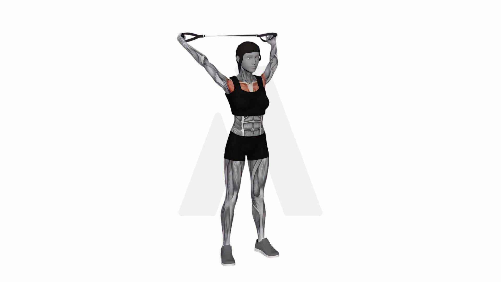 Band Warm Up Shoulder Stretch exercise demonstration