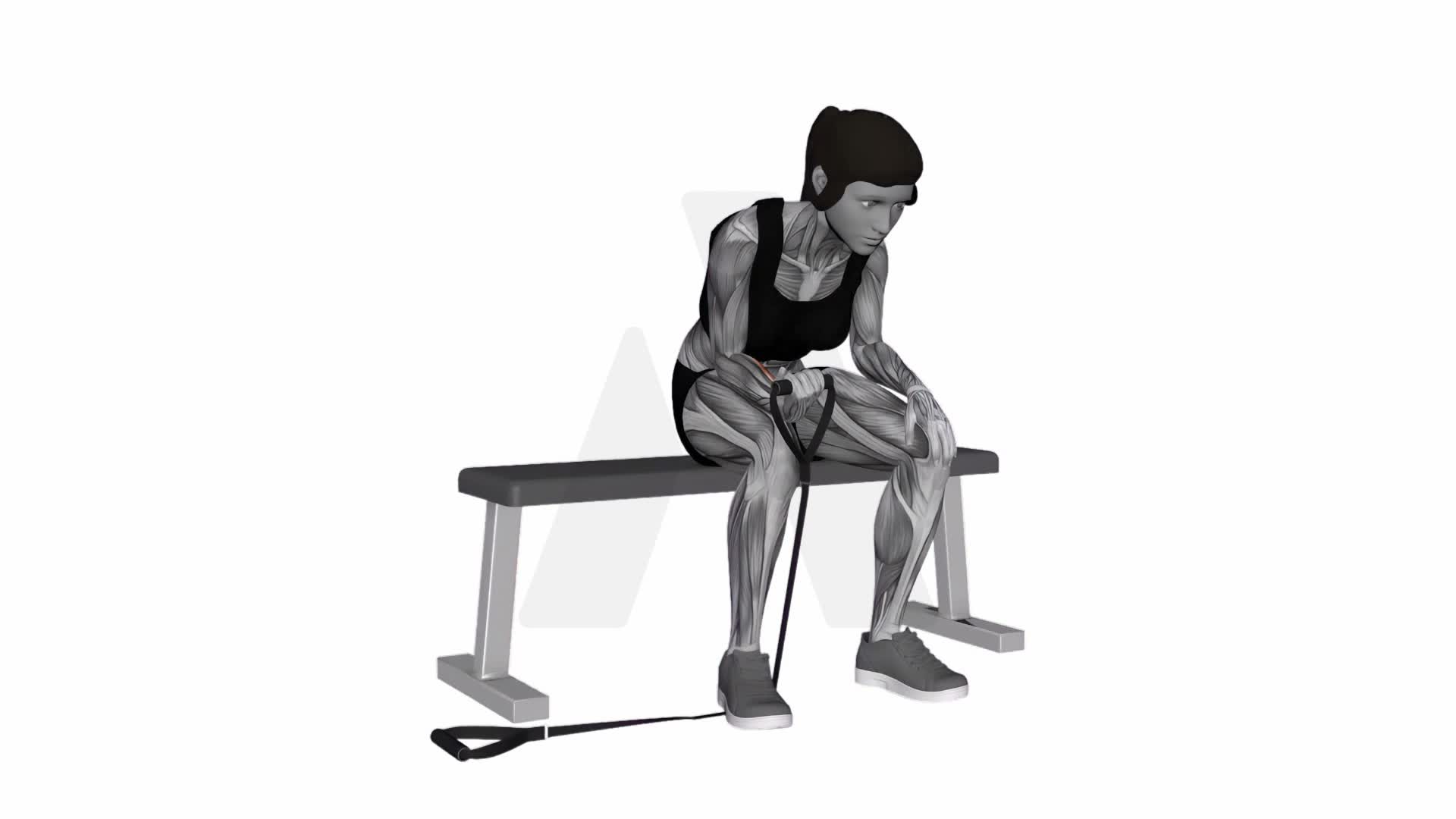 Band Wrist Curl exercise demonstration