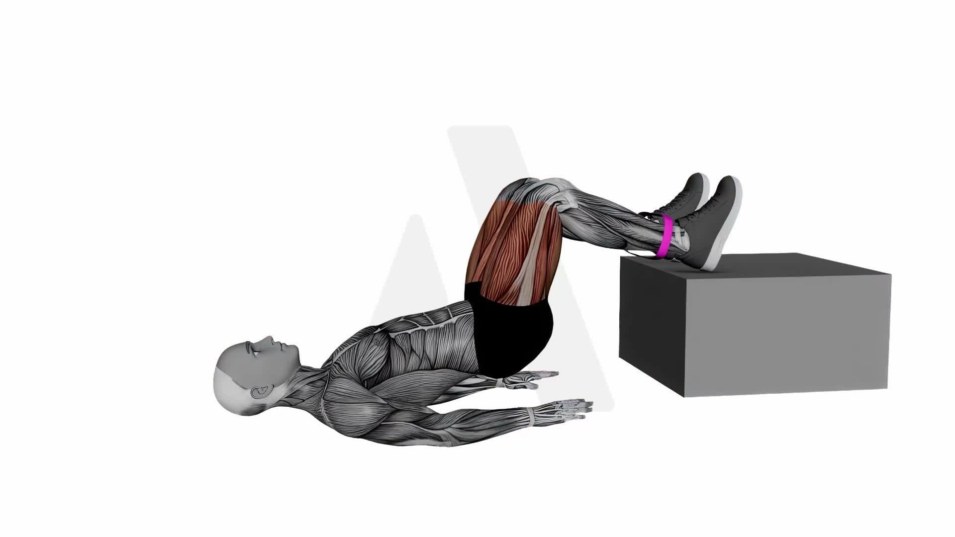Banded Feet Elevated Hip Thrusters exercise demonstration