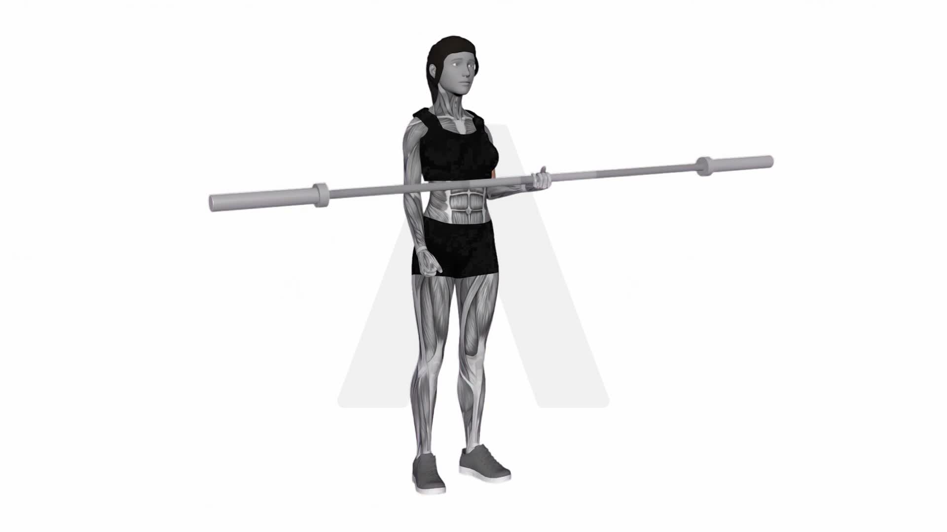 Barbell Alternate Biceps Curl exercise demonstration
