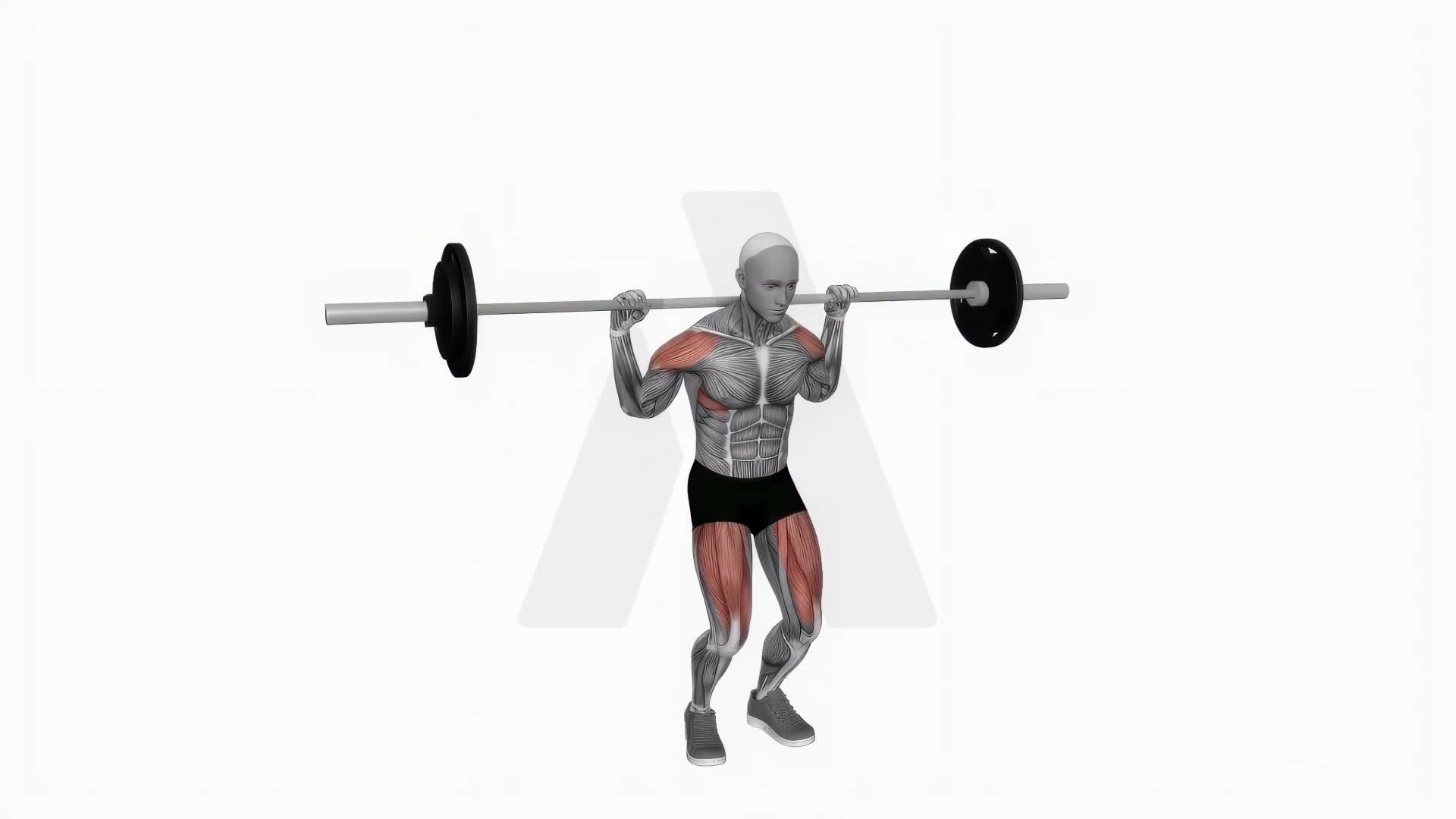 Barbell Behind Neck Push Press exercise demonstration